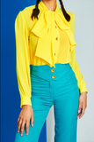 Bow Sheer Shirt